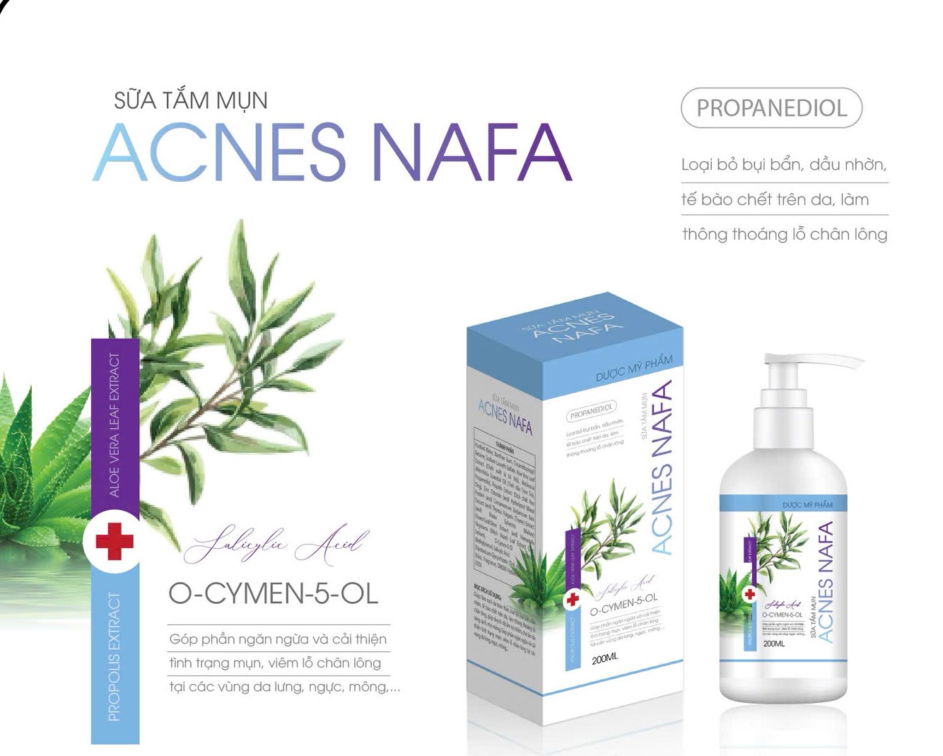 gen-h-z7048673382970_58b4bc88f098cc48595a8a3eacc2bbe0